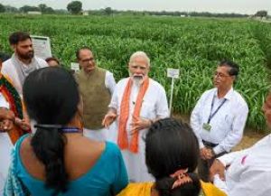  प्रधानमंत्री ने कृषि उपज बढ़ाने के लिए जलवायु अनुकूल बीजों की 109 किस्में जारी कीं
