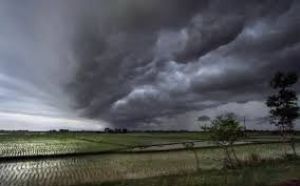 इस बार मानसून में  सामान्य से अधिक बारिश की संभावना  