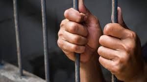 ट्रक ने शेरनी को कुचला...!, चालक गिरफ्तार