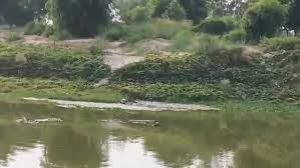 पुनर्जीवित की जाएगी भैंसी नदी