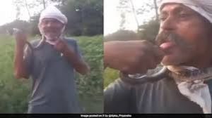 ‘रील' बनाने के लिए सांप को चूमने की कोशिश कर रहे व्यक्ति की जीभ पर सांप ने काटा, हालत गंभीर