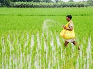  खूब बरसा मॉनसून, खरीफ को मिला फायदा, लेकिन बाढ़-भूस्खलन से भारी तबाही; लाखों हेक्टेयर फसलें बरबाद