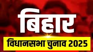 बिहार चुनाव: करीब 8.5 लाख चुनाव अधिकारी तैनात, बुजुर्ग, दिव्यांग पोस्टल बैलट के जरिए डाल सकेंगे मतदान