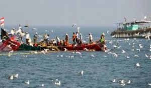 केंद्र ने गहरे समुद्र में मछली पकड़ने के नए नियम जारी किए, मछुआरों के लिए क्या हैं फायदे केंद्र ने गहरे समुद्र में मछली पकड़ने के नए नियम जारी किए, मछुआरों के लिए क्या हैं फायदे