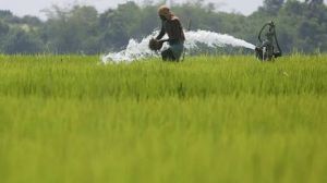 खेती के नए तरीके अपनाने के लिए सात किसानों को पुरस्कार