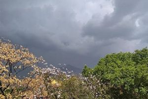 देश में जनवरी-मार्च अवधि के लिए औसत वर्षा का पूर्वानुमान : आईएमडी