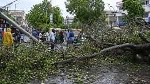 बिहार में आंधी-बारिश और बिजली गिरने से 12 लोगों की मौत