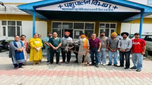 भैंस के पेट से शल्यक्रिया के जरिए धातु के तार निकाले गए