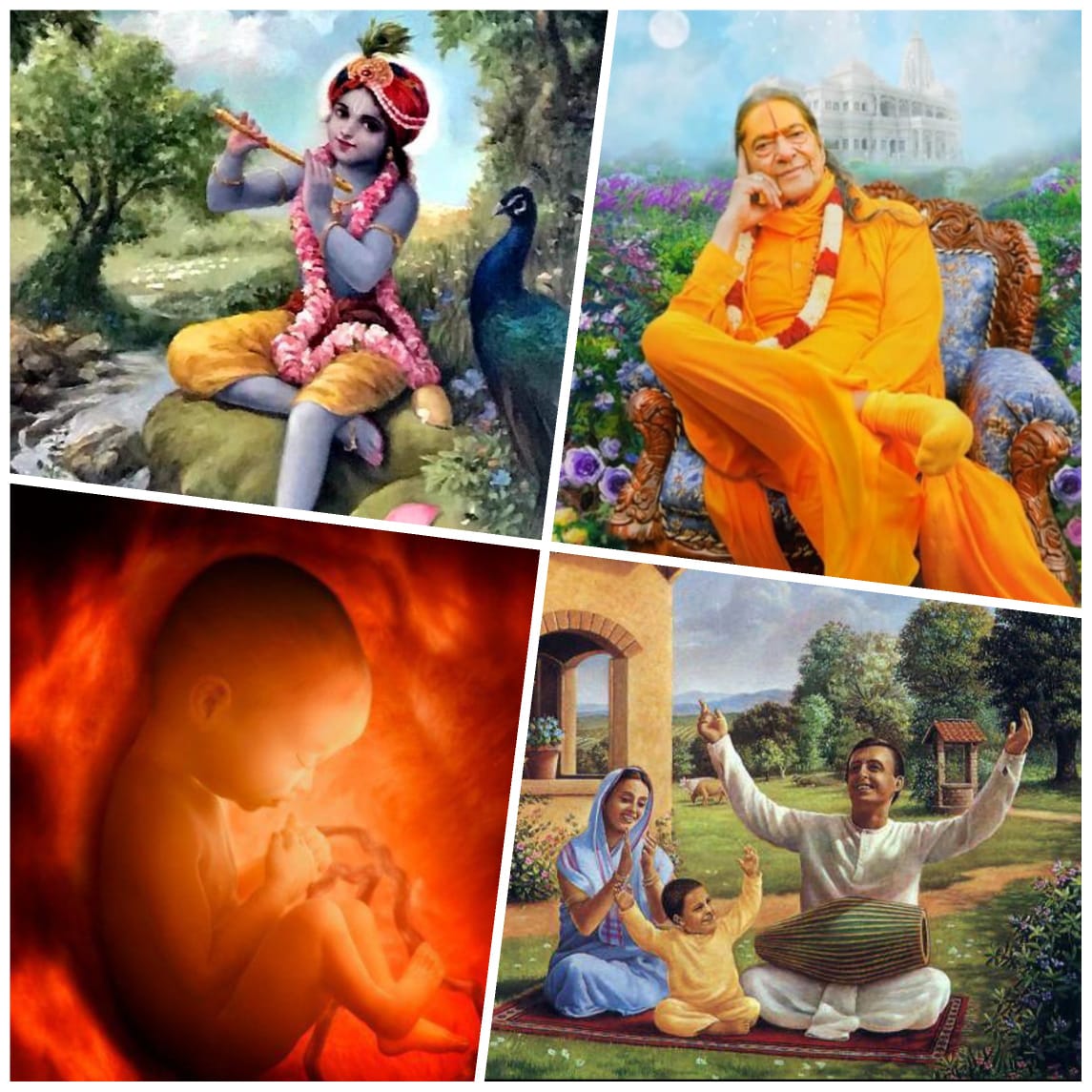 बार-बार न मिलने वाले मानव देह का महत्व विचारो बार-बार न मिलने वाले मानव देह का महत्व विचारो