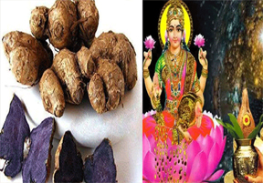 होली की रात कर लें ये छोटा सा टोटका, मां लक्ष्मी की बरसेगी कृपा.. ! होली की रात कर लें ये छोटा सा टोटका, मां लक्ष्मी की बरसेगी कृपा.. !