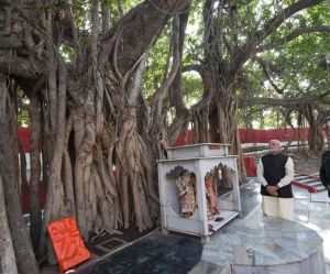 पुराणों में वर्णित अक्षयवट पुराणों में वर्णित अक्षयवट