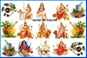  इन 9 औषधियों में विराजते हैं देवी के नौ रूप 