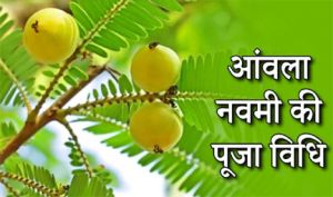 सोमवार को आंवला नवमी, करें आंवले के पेड़ की पूजा, पूरी होंगी मनोकामनाएं