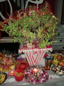    देवउठनी एकादशी बुुधवार को ....जानिए शुभ मुहूर्त, पूजन विधि और मंत्र