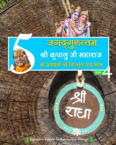 जगदगुरुत्तम श्री कृपालु जी महाराज के प्रवचनों से निःसृत साधना-स्मरण सम्बन्धी 5-सार बातें (भाग - 4) जगदगुरुत्तम श्री कृपालु जी महाराज के प्रवचनों से निःसृत साधना-स्मरण सम्बन्धी 5-सार बातें (भाग - 4)