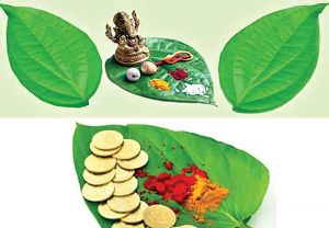 ज्योतिष के अनुसार बहुत शुभ हैं ये पत्ते, इनके बिना पूजा है अधूरी... ज्योतिष के अनुसार बहुत शुभ हैं ये पत्ते, इनके बिना पूजा है अधूरी...