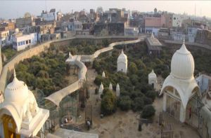 रहस्यमयी चमत्कारों से भरा है निधिवन मंदिर रहस्यमयी चमत्कारों से भरा है निधिवन मंदिर