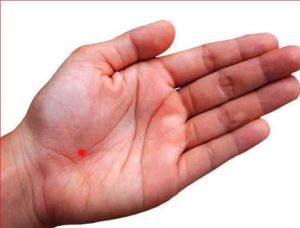 हाथ की रेखा ऐसी हो तो शासकीय अधिकारी बनता है व्यक्ति हाथ की रेखा ऐसी हो तो शासकीय अधिकारी बनता है व्यक्ति