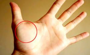  हथेली में उभरा हुआ है यह पर्वत तो बहुत मेहनती हैं आप.....