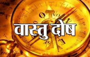  घर का वास्तु दोष दूर करने के लिए करें ये उपाय...