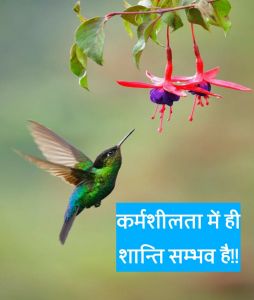 जीवन के लिये बोधकथा (1) : कर्मशीलता में ही शान्ति सम्भव है!! (कहानी)