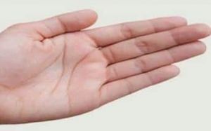  व्यक्ति के जीवन का आइना है हाथों का यह पर्वत