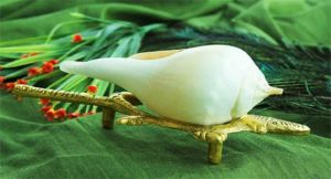 इन चीजों को कभी ना रखें जमीन पर, उठानी पड़ सकती है हानि इन चीजों को कभी ना रखें जमीन पर, उठानी पड़ सकती है हानि