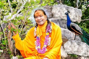 आध्यात्मिक मार्गी साधक क्यों अपनी साधना से नीचे गिर जाता है? जानिये साधक के पतन का सबसे बड़ा कारण क्या है? आध्यात्मिक मार्गी साधक क्यों अपनी साधना से नीचे गिर जाता है? जानिये साधक के पतन का सबसे बड़ा कारण क्या है?