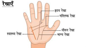 यहां से शुरू हो भाग्य रेखा तो 35 साल के बाद मिलती है सफलता यहां से शुरू हो भाग्य रेखा तो 35 साल के बाद मिलती है सफलता