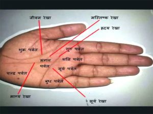 नौकरी और बिजनेस में खूब चमकते हैं ऐसे लोग नौकरी और बिजनेस में खूब चमकते हैं ऐसे लोग
