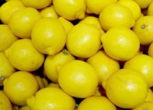 सोने से पहले इस जगह रख लें 1 नींबू, फिर कमाल हो जाएगा, मिलेंगे चमत्कारिक लाभ! सोने से पहले इस जगह रख लें 1 नींबू, फिर कमाल हो जाएगा, मिलेंगे चमत्कारिक लाभ!