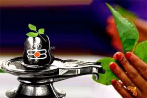 भगवान शिव को बेलपत्र चढ़ाने से पहले जान लें नियम, न करें ये गलतियां