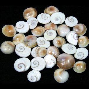  अगर बहुत अधिक खर्च हो रहा हो या ऋण में डूबे हों तो रखे इसे अपने पास... लक्ष्मी का होगा वास