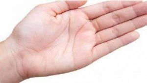  हथेली की रेखाएं और पर्वत हों ऐसे, तो पक्&zwj;का मिलती है गवर्नमेंट जॉब