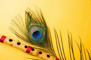 जन्माष्टमी पर मोर पंख लाने से घर में छा जाएंगी खुशियां जन्माष्टमी पर मोर पंख लाने से घर में छा जाएंगी खुशियां