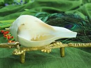 धन लाभ के लिए करें ये आसान से उपाय... धन लाभ के लिए करें ये आसान से उपाय...