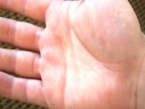 यह रेखा धन के लिहाज से है महत्वपूर्ण, विदेश यात्रा भी कराती है, क्या आपके हाथ में है? यह रेखा धन के लिहाज से है महत्वपूर्ण, विदेश यात्रा भी कराती है, क्या आपके हाथ में है?