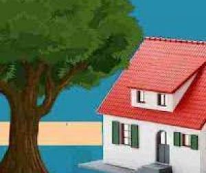 घर के बाहर भूलकर न रखें ये चीजें, दरिद्रता का होता है वास घर के बाहर भूलकर न रखें ये चीजें, दरिद्रता का होता है वास