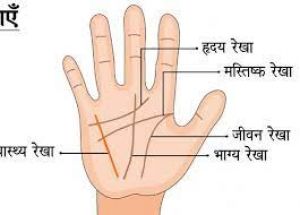 घर के बहुत नजदीक होती है इन लोगों की शादी घर के बहुत नजदीक होती है इन लोगों की शादी