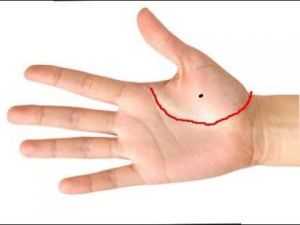 हथेली में यहां पर हो तिल तो पति-पत्नी में विवाद होता रहेगा...!