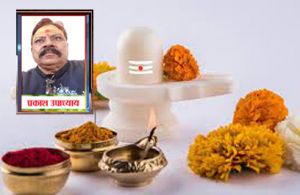 महाशिवरात्रि की पूजा से दूर होगा शनि और कालसर्प का दोष, जानें कैसे? महाशिवरात्रि की पूजा से दूर होगा शनि और कालसर्प का दोष, जानें कैसे?