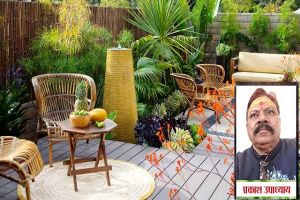 तरक्की के बंद दरवाजे खोलने में मदद करेगा वास्तु का यह रंग तरक्की के बंद दरवाजे खोलने में मदद करेगा वास्तु का यह रंग