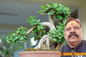 करियर में आ रही परेशानी का कारण बन सकती है, आपके घर के रखी ये छोटी सी चीज करियर में आ रही परेशानी का कारण बन सकती है, आपके घर के रखी ये छोटी सी चीज