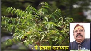 इन राशियों के लिए घर में नीम का पेड़ लगाना शुभ...! इन राशियों के लिए घर में नीम का पेड़ लगाना शुभ...!