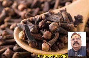 बहुत काम के हैं लौंग के टोटके, कंगाली से लेकर नजरदोष तक सब समस्याएं होंगी दूर बहुत काम के हैं लौंग के टोटके, कंगाली से लेकर नजरदोष तक सब समस्याएं होंगी दूर