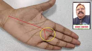  हथेली में बन रहा है वी का निशान, तो बदलेगी आपकी किस्मत