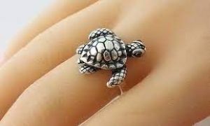 कछुए की अंगूठी होती है बेहद खास