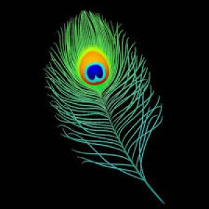 फेंगशुई की इन चीजों से करें घर की सजावट, होगी धन-दौलत...!