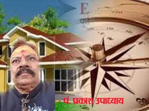 घर में पौधे लगाते समय दिशा का रखें खास ध्यान