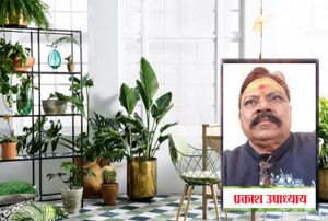 करें ये काम, 10 गुना बढ़ जाएगी घर की सुख-समृद्धि